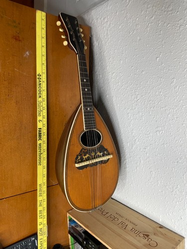 Antique string mandolin bowl - mandolin,