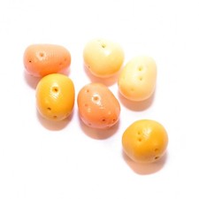 Dolls House Potatoes.. Pack of