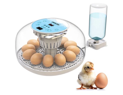 Okkobi m12 egg incubator - egg, for