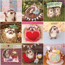 Cute Whimiscal Whimsical Card