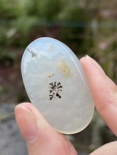 Montana Agate Cabochon AAA  9g