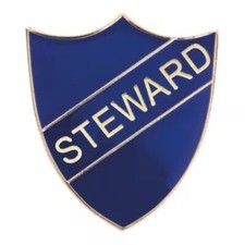 Steward School/Club Pin
