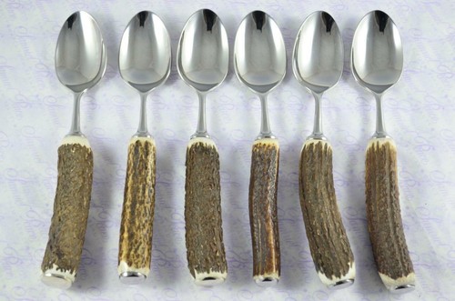 Six genuine stag antler - 6, stag/antler