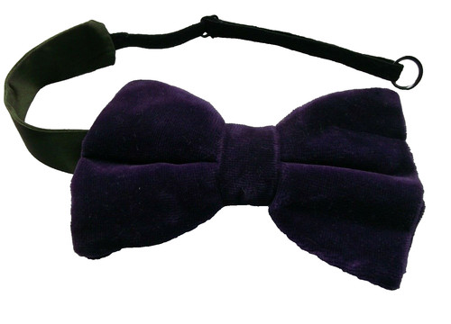 Bow tie mens dickie - dickie, bowtie