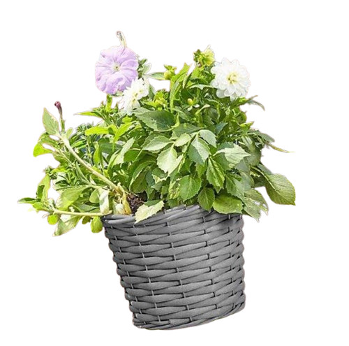 Planter basket 20cm rattan - 20cm,