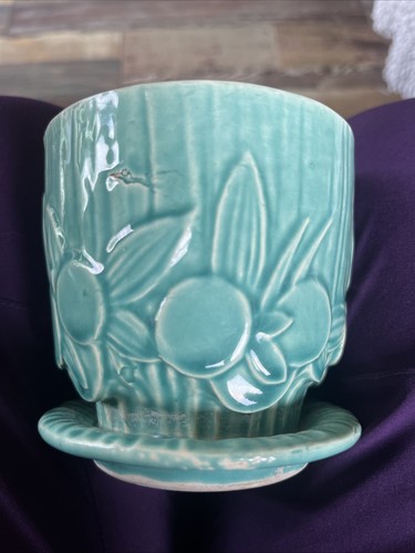 Mccoy sand dollar green - dollar,