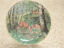 The Woodland Year - Fawns in