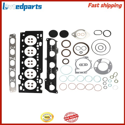 Engine cylinder head gasket - cylinder,