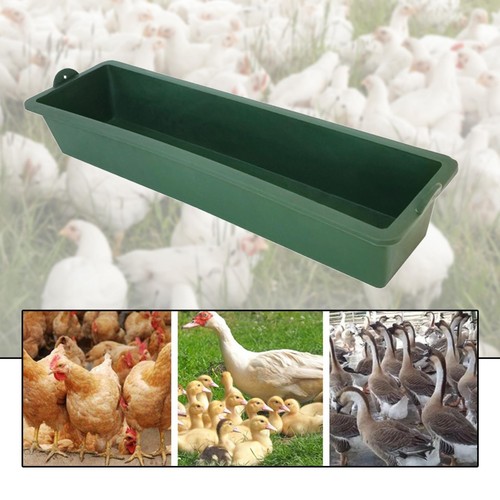 Trough chicken feeder - chicken,