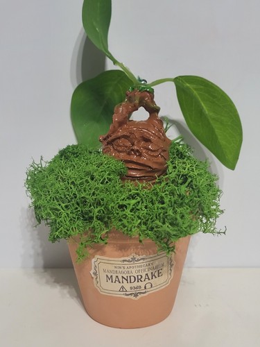 Mandrake ornament harry potter - mandrake,