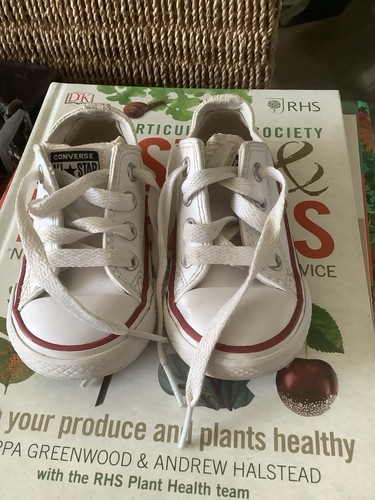 Converse all star - all, white