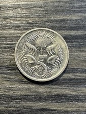Very RARE Hedgehog Australian
