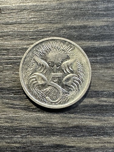 Very rare hedgehog - very,