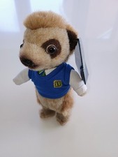 Bogdan Schoolboy Meerkat