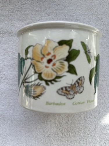 Portmeirion botanic garden pot - portmeirion,