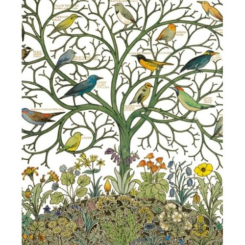 Birds many climes - birds, of