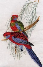 Crimson Rosellas counted cross