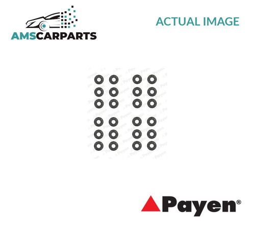 Valve stem seal set - valve, hr5062