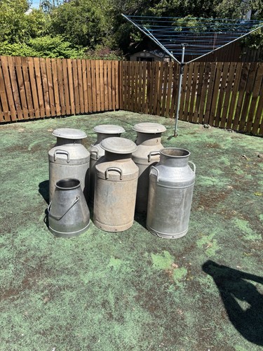 Antique milk churns - antique,