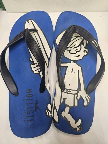 Hollister waxer mascot - hollister,