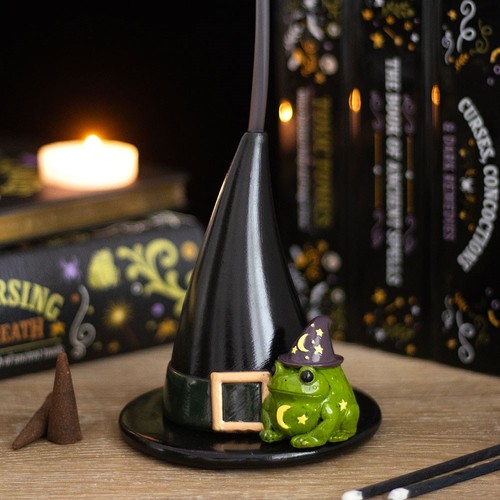 Magic toad and witch - toad,
