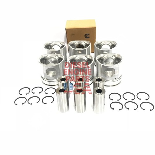 Cummins rebuild kit with - cummins,