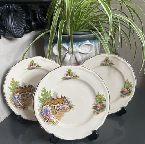 Vintage alfred meakin - 3,