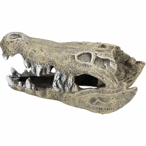 Small aquatic aquarium nile - small,