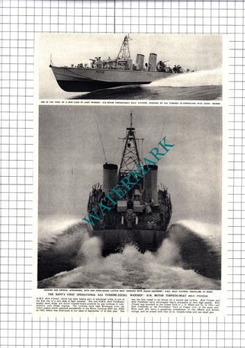 Motor torpedo boat - hm,