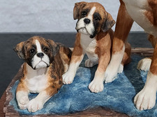 Border Fine Arts Boxer and