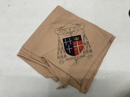 Vintage boy scout - vintage,