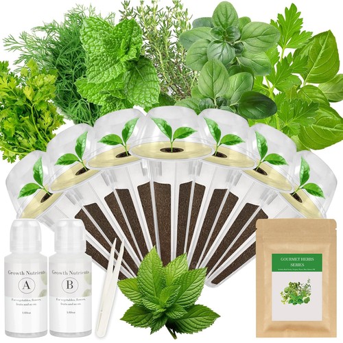 Herb seed pod - herb, kit