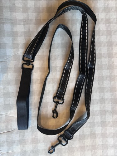 Two point control - point, leash