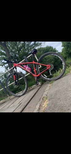 Specialized rockhopper - specialized,
