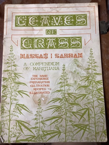 Leaves grass hassan i - leaves,