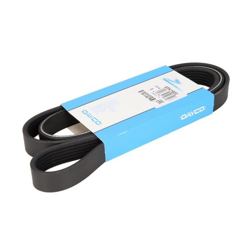 Dayco day6pk1600 ribbed - dayco, belt