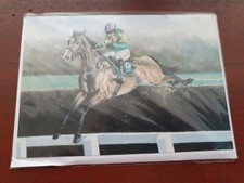 Kauto star racehorse greetings - kauto,