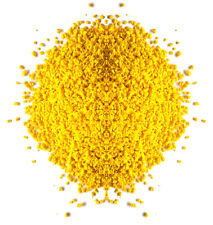 EGG BISCUIT 5kg Canary Food Feed Canaries Canary Budgie etc Egg