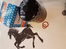 Genuine Ferrari 360 & 355 Oil