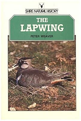 The lapwing shire - lapwing, (shire