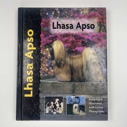 Lhaso apso dog - lhaso,