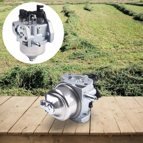 Carburetor for mountfield - carburetor,