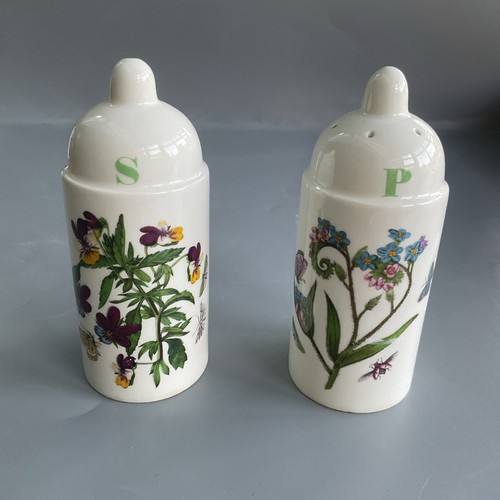 Portmeirion botanic garden - botanic,