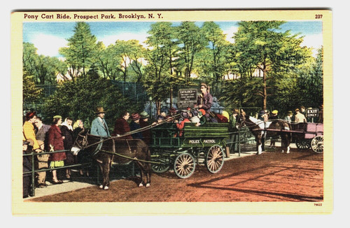 Postcard pony cart rides - pony,