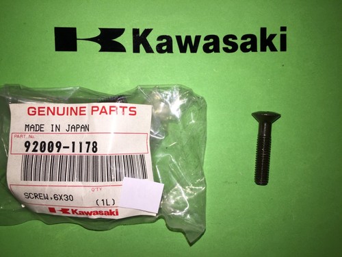 Kawasaki z250 scorpion - z250,