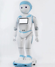 iPAL-B Interactive Companion