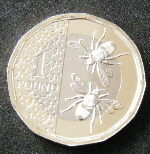 2025 one pound coin bees - £1,