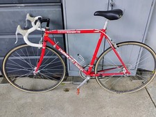 Diamond back centurion expert - back,