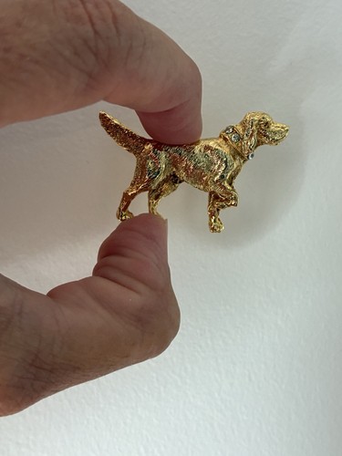 Gold colour metal - colour, coat