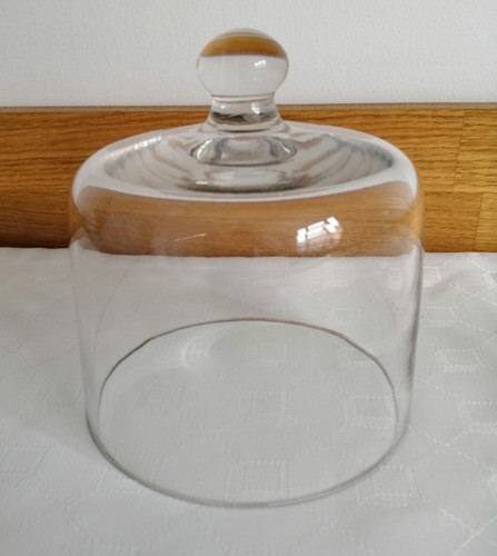 Small glass dome display - small,